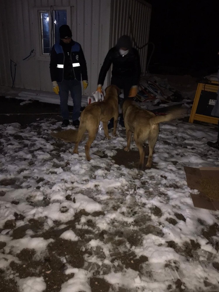 Donmak üzere olan köpek ve yavrularını Diyarbakır Büyükşehir Belediyesi ekipleri kurtardı