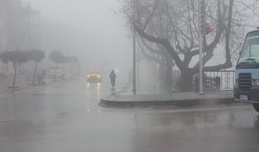 Düzce, 56 saatlik kısıtlamanın ardından güne sisle uyandı