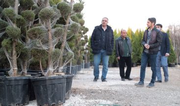 Eyyübiye’de yeni parklara yeni fidanlar
