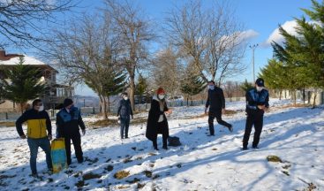 Fatsa Belediyesi doğaya kuşlar için yem, sokak hayvanları için mama bıraktı