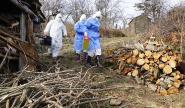 Filyasyon ekiplerini, yaban hayvanları bile durduramadı