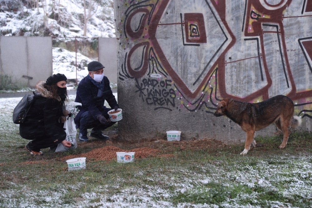 Gaziosmanpaşa’da sokak hayvanları karda sahipsiz kalmadı