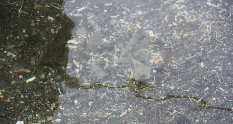 Gizli tehlike mikroplastik: Suda, havada, sofra tuzunda, maskede bile var