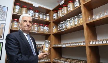 Gökova susamı gelecek nesimler için donduruldu