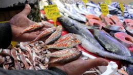 Hamsi yasağı sonrası ilgi mezgit ve barbuna kaydı