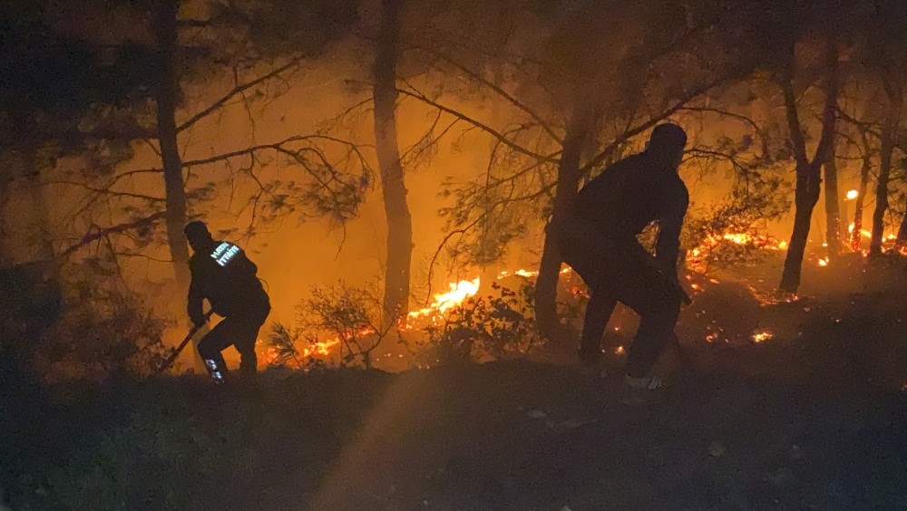 Hatay’da havai fişek ormanda yangına neden oldu