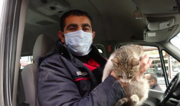 Hayvansever vatandaş dayanamadı, yaklaşık 2 saat çabaladı