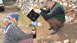 Her derde şifa katran yağı yok satıyor