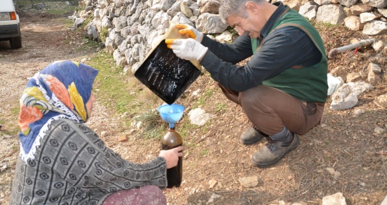 Her derde şifa katran yağı yok satıyor
