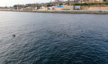 İstanbul Boğazı’nda Yunus Şöleni