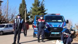 Jandarmadan sokak hayvanlarına şefkat eli