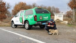 Jandarmadan sokak hayvanlarına yem