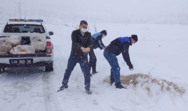 Karacabey’de karla mücadele