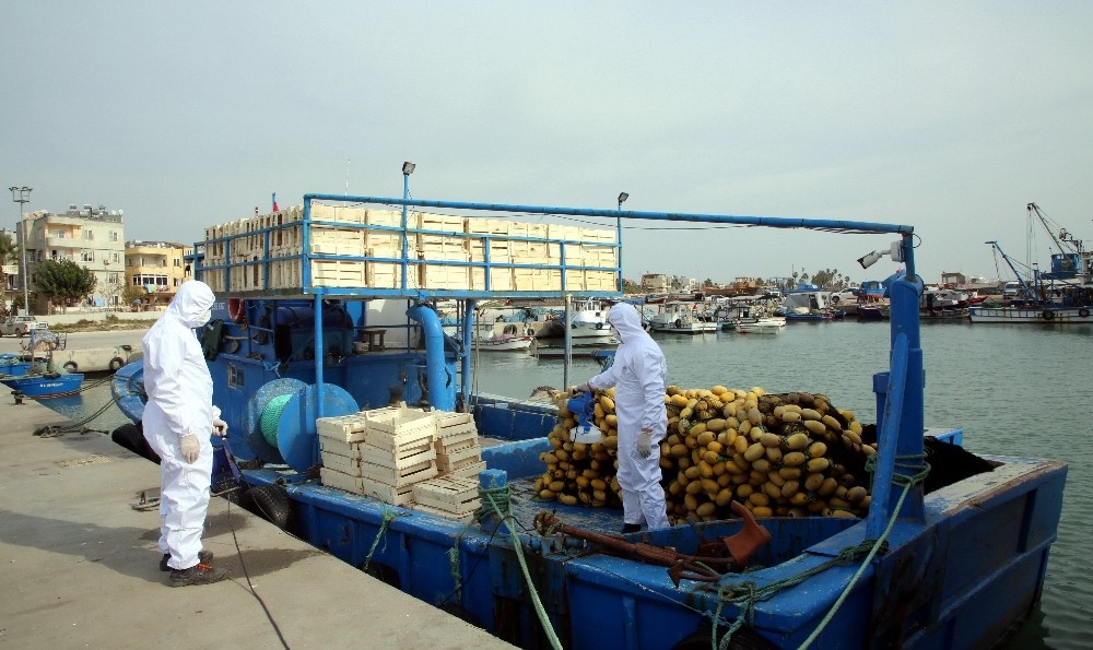 Karaduvar Balıkçı Barınağındaki balıkçı tekneleri dezenfekte edildi