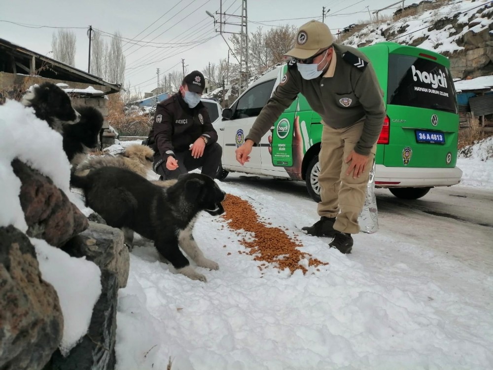 Kars’ta polis, sokak hayvanlarına yiyecek bıraktı
