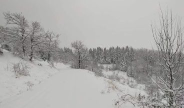 Kastamonu’da köylerin yarısının yolu kar yağışı nedeniyle kapandı