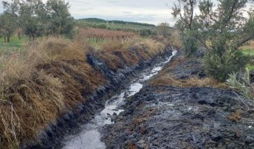Kayaaltı’da bir kilometre dere temizliği yapıldı
