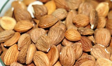 Kayısının çekirdeği da şifa deposu