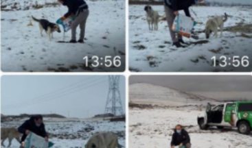 Kayseri polisinden hayvanlara yem desteği