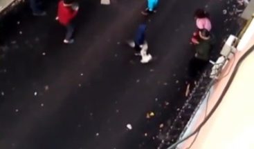 Kediler kavga etti ortada kalan çocuk ne yapacağını şaşırdı