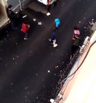 Kediler kavga etti ortada kalan çocuk ne yapacağını şaşırdı