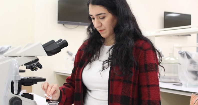 Kemik doku zedelenmelerinde yeni nesil tedavi yöntemi