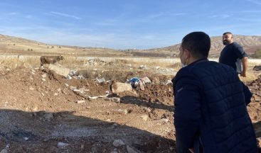 Kesime götürülen inek ortalığı birbirine kattı