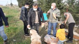 Kısıtlama günlerinde sokak hayvanlarını unutmadılar