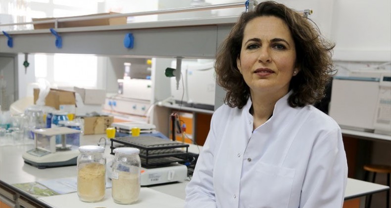 Korona virüs için umut oldu