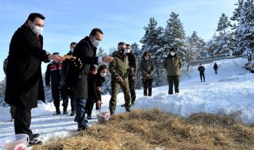 Küçükelmalı Tabiat Parkı’nda yaban hayvanları için yemleme çalışmaları yapıldı