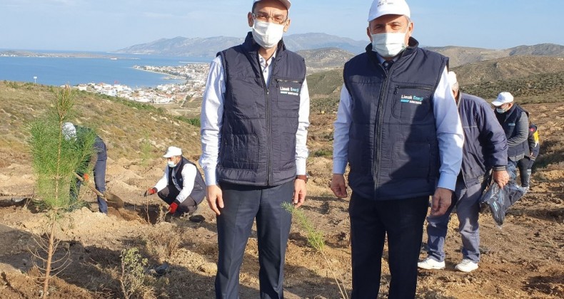 Limak Enerji’nin yeşil dönüşüm ormanları projesi Balıkesir’de devam ediyor