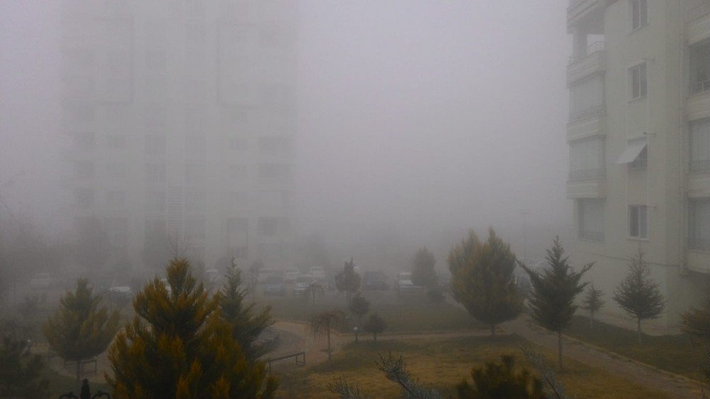 Malatya’da yoğun sis etkili oluyor