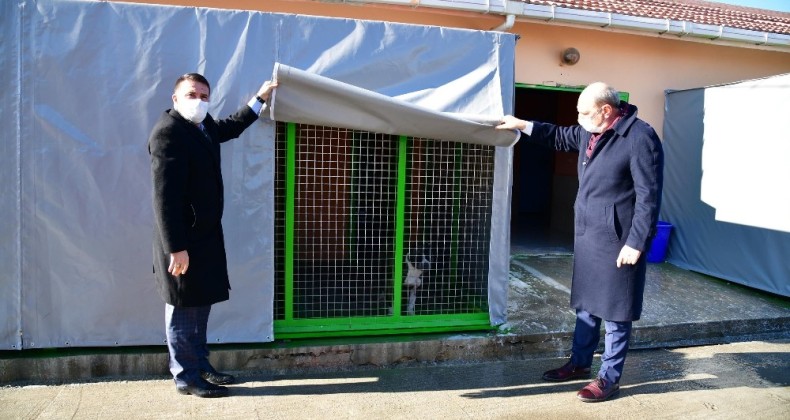 Mamak Belediyesi kış günlerinde de sevimli dostlarını unutmadı