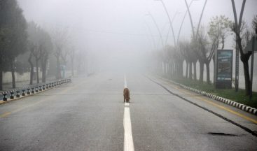 Manisa kısıtlamanın son gününe sis içinde uyandı