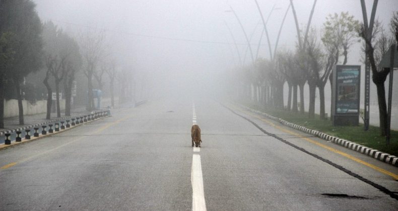 Manisa kısıtlamanın son gününe sis içinde uyandı