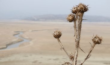 Manisa son 13 yılın en kurak mevsimini yaşıyor