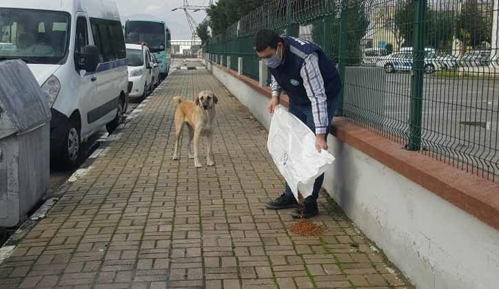 Manisa’da sokak hayvanlarına mama desteği