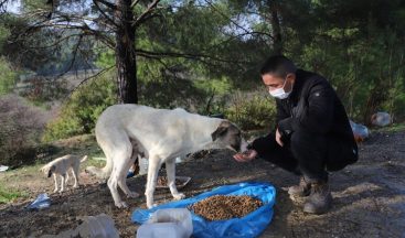 Menderes’te sokağa çıkma kısıtlamasında sokak hayvanları unutulmadı