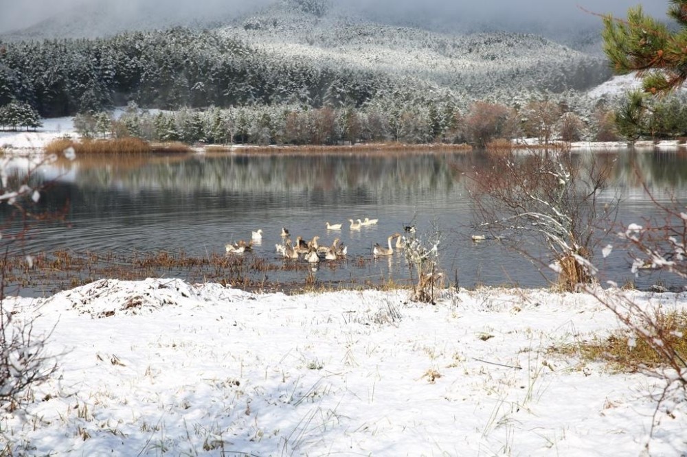 Mevsimin ilk karı yağdı Gölcük’te kartpostallık görüntüler oluştu