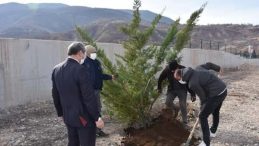 Millet Bahçesi’nin ilk fidanları toprakla buluşturuldu