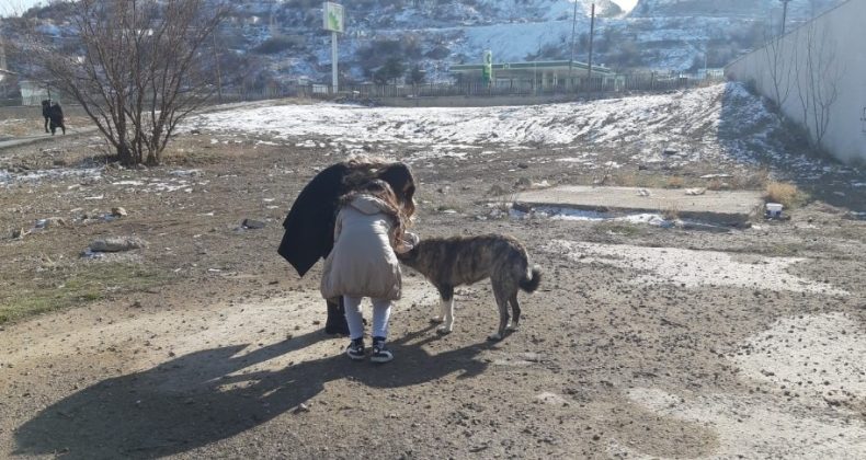 Miniklerden hayvan barınağına ziyaret