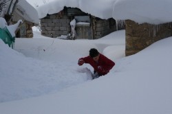 Muş’ta tek katlı evler ve araçlar kara gömüldü