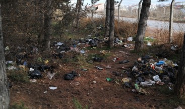 Ormanlık alan çöplüğe dönüştü