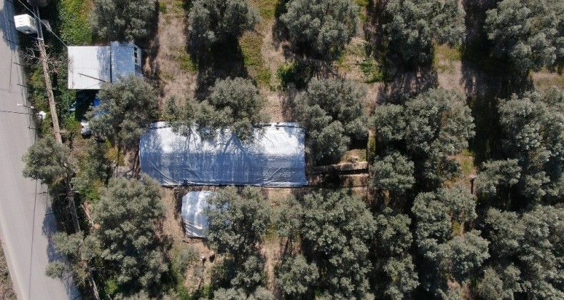 Lahit tarlası işte böyle korunuyor