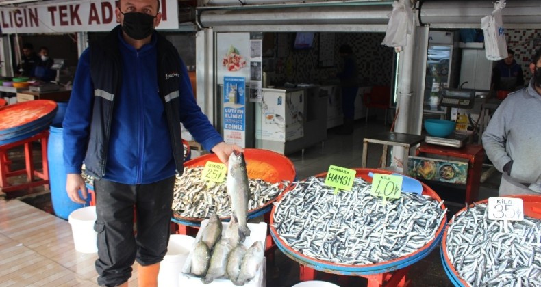 Sıcak havalar hamsi fiyatlarını vurdu