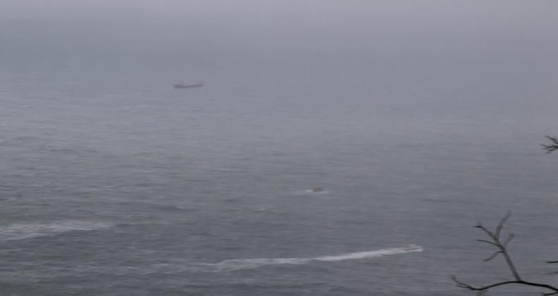 Palau Bandıralı geminin batma anına ilişkin görüntüler ortaya çıktı