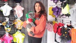 Pandemide evcil hayvan kıyafetlerine talep arttı