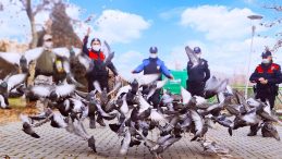 Polis ekipleri sokak hayvanlarını unutmadı