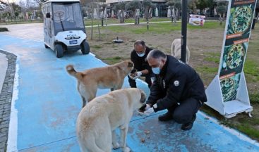 Polislerin ’Merhamet’ devriyesi