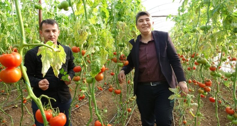 Sağlıklı beslenmek isterken kendi işlerinin patronu oldular